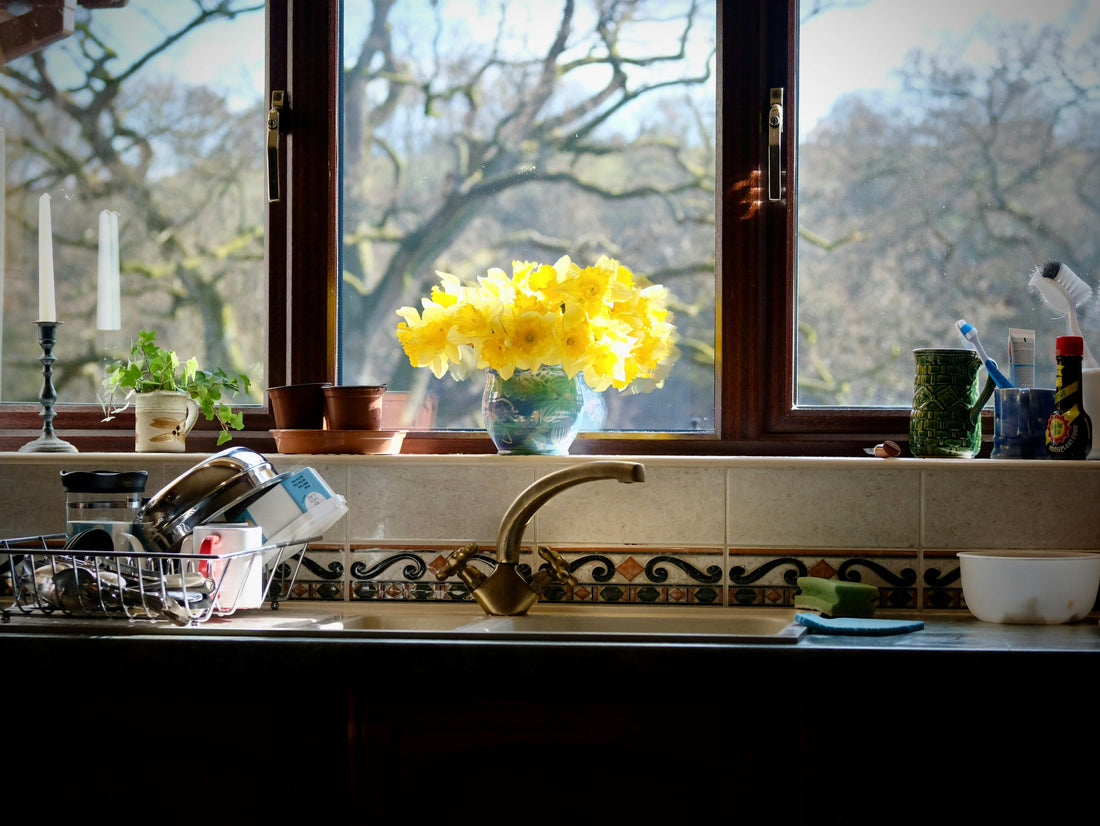 Is a Drying Rack a Waste of Space in Your Kitchen?